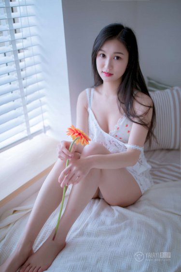 契婚玩家手册魏冉