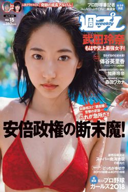 友田真希在线播放